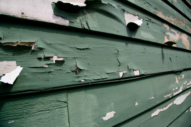 Custom Trim and Detailing for Siding in Las Lomas, CA